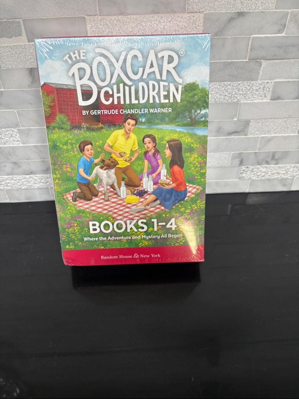 NWT the Boxcar Children pack of books 1-4